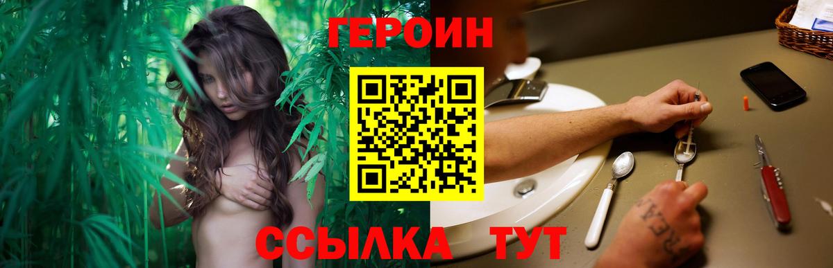 ГЕРОИН хмурый Краснознаменск