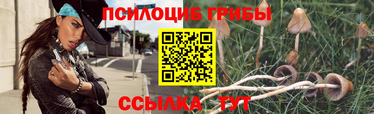 Краснознаменск  Псилоцибиновые грибы Cubensis  Галлюциногенные грибы ЛСД  Вход с VPN 